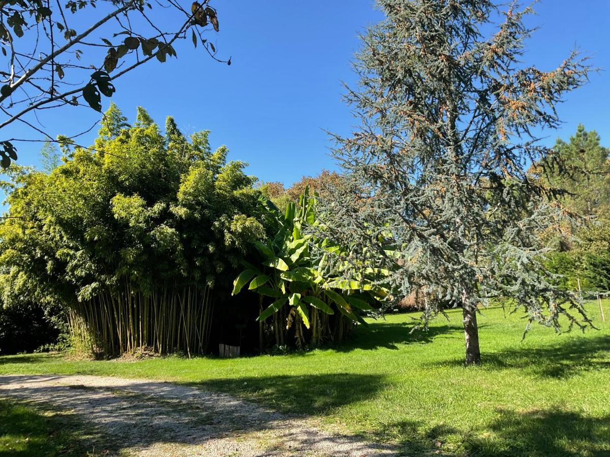 Le Clos Du Benestar Mauvezin-d'Armagnac Dış mekan fotoğraf